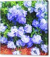 Blue Plumbago Blossoms Abstract Canvas Print