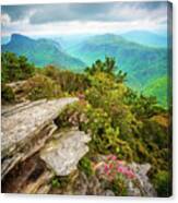 Blue Ridge Mountains Nc Hawksbill Spring Canvas Print