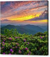 Blue Ridge Parkway Nc Blooming Sunset Canvas Print