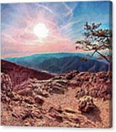Blue Ridge Rocky Hilltop And Tree At Sunset Ap Canvas Print