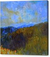 Blue Ridge Swirl Canvas Print