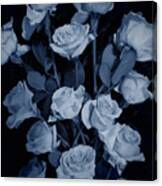 Blue Roses Canvas Print