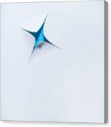 Blue Star On White Canvas Print