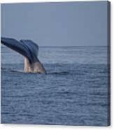 Blue Whale Tail Canvas Print