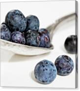 Blueberries For... Canvas Print