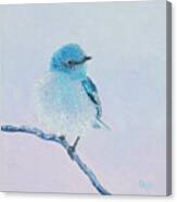Bluebird Painting Canvas Print