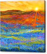 Bluebonnet Horizon - Bluebonnet Field Sunset Canvas Print
