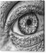 #blueeyes #blue #eyes #pupil #cornea Canvas Print