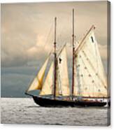 Bluenose Canvas Print