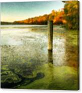 Blydenberg Park In The Fall Canvas Print
