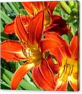 Bold And Beautiful Lilies Canvas Print