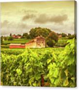 Bordeaux Country Side Panorama Canvas Print
