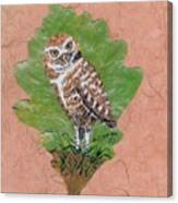 Borrowing Owl Canvas Print