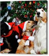 Borzoi Hounds Dressed As Father Christmas Canvas Print