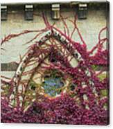 Boston Ivy At Christ Church College Canvas Print