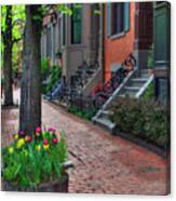 Boston South End Row Houses Canvas Print