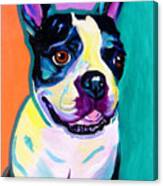 Boston Terrier - Jack Boston Canvas Print