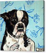 Boston Terrier Flossing Canvas Print