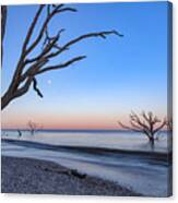 Botany Bay Moonrise Canvas Print