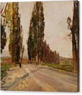 Boulevard Of Poplars Near Plankenberg Canvas Print