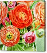 Ranunculus Bouquet Canvas Print