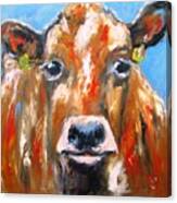 Bovine Cow Available As A Largewall Art Print On Stretched Canvas Canvas Print