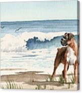 Boxer At The Beach Canvas Print