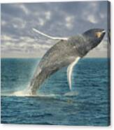 Breaching Whale Canvas Print