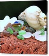 Weathered Brick Glass And Shell Canvas Print
