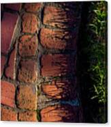 Brick Path In Afternoon Light Canvas Print