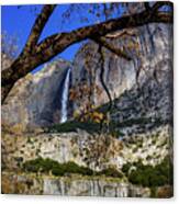 Yosemite Falls Framed By Tree Branch Canvas Print