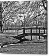 Bridge And Branches Canvas Print
