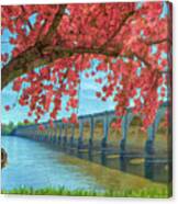 Beautiful Blossoms Canvas Print