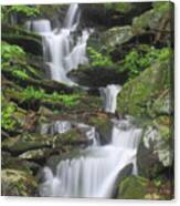 Briggs Brook Waterfall New England National Scenic Trail Canvas Print
