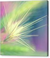 Bright Weed Canvas Print