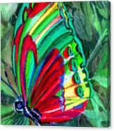Brilliant Butterfly Canvas Print
