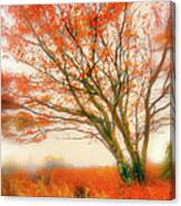 Brilliant Orange Autumn Fall Colors Tree Ap Canvas Print