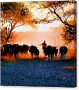 Bringing In The Herd Canvas Print