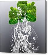 Broccoli Splash Canvas Print
