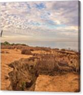 Bronze Coast Canvas Print