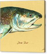 Brook trout watercolor Canvas Print