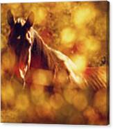 Brown Horse Portrait In Summer Day Canvas Print