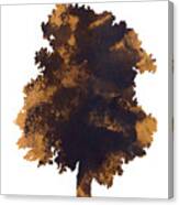 Brown Oak Minimalist Painting Canvas Print