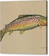 Brown Trout Jumping Canvas Print