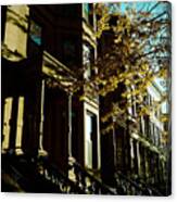 Brownstones At Dusk Canvas Print