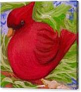Brrr Bird Canvas Print