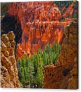 Bryce Canyon Vista Canvas Print