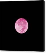 Bubblegum Moon Canvas Print