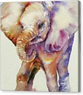 Bubbles Baby Elephant Canvas Print