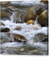 Buck Creek Canvas Print